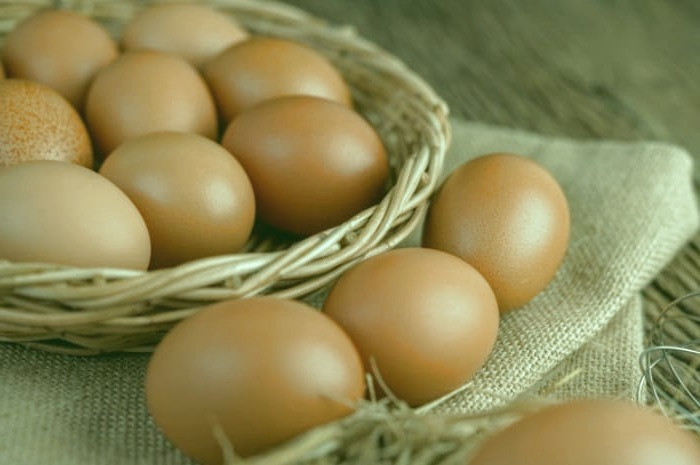 سفیده تخم مرغ