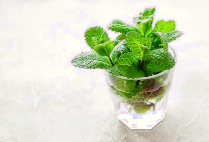 درمان درد معده