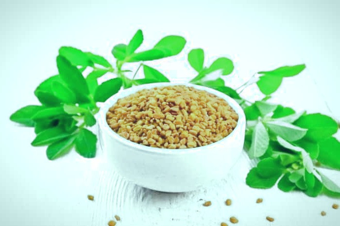 بذر شنبلیله