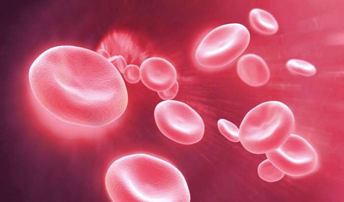 کم خونی در بارداری