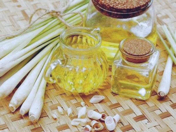 روغن علف لیمو 