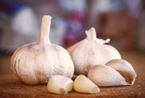 استفاده از سیر 