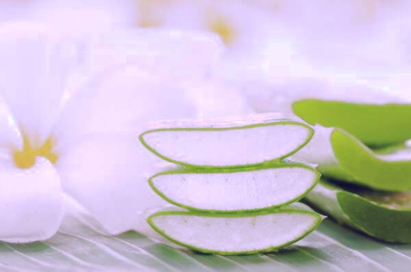 آلوئه ورا برای لب