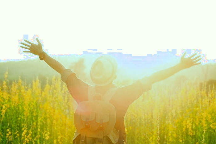 جذب ویتامین D