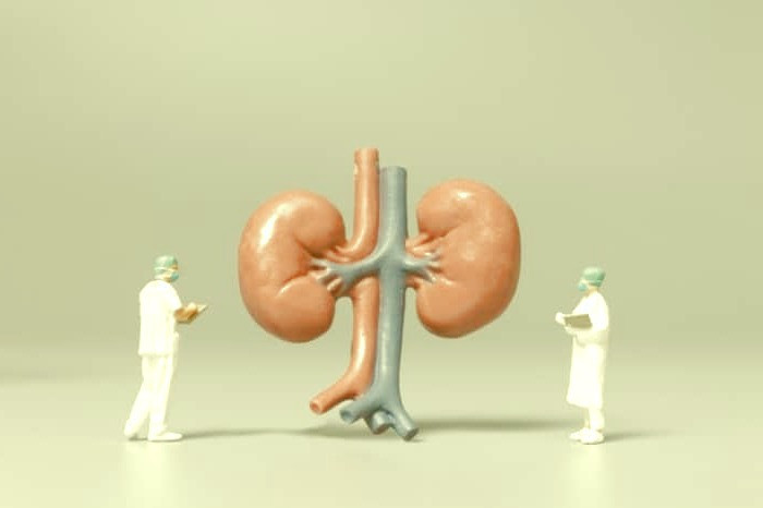 غده فوق کلیه