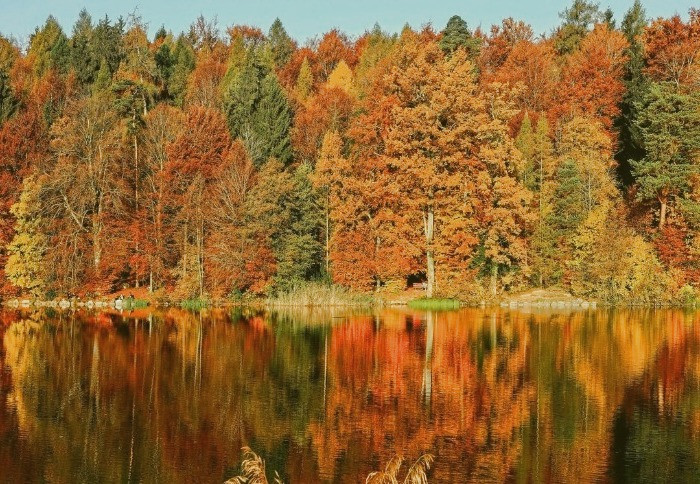 عوارض فصل پاییز