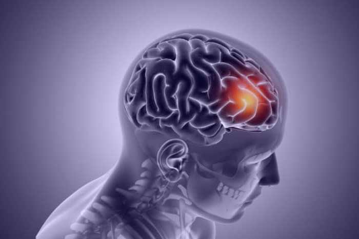 خاصیت گردو چیست؟