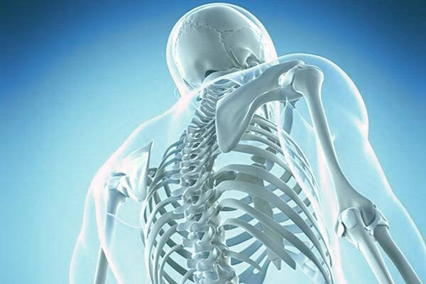 سلامت استخوان