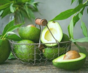 بررسی مزایای آووکادو برای سلامت و زیبایی