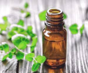 سود و فواید روغن پونه و درمان های طبیعی اورگانو برای بهبود سلامت و زیبایی