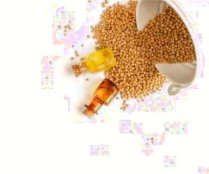 عطر و طعم روغن خردل: کشف 23 مزیت برای سلامت و زیبایی +اطلاعات مهم