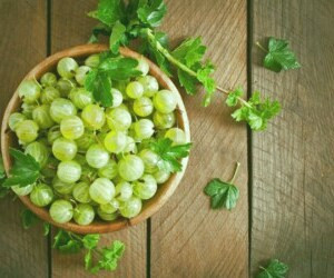 بررسی خواص و مزایای آملا، روغن و آب انگور فرنگی