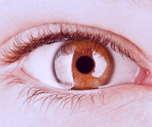 چگونه می توان از رتینوپاتی دیابتی جلوگیری کرد