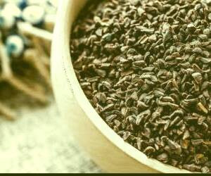 بررسی مزایای درمانی و کاربردهای اسپند