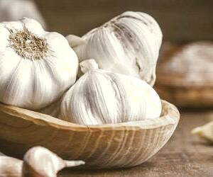 محصولات گیاهی برای تقویت سیستم ایمنی بدن