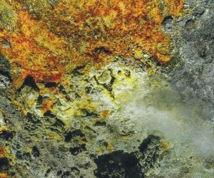 بررسی علائم و عوارض کمبود گوگرد در بدن و معرفی منابع غنی از این ماده مغذی