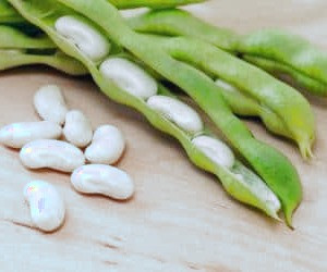 لوبیای لیما و مزایای بی نظیر آن برای سلامتی