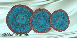 بهبود روش های نگهداری برنج برای سلامت