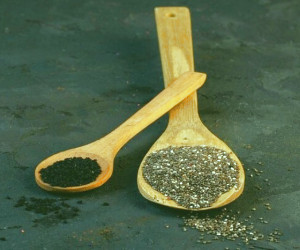 تفاوت میان دانه چیا و تخم شربتی: کدام یک خواص بیشتری دارد؟