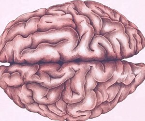 بهبود عملکرد مغز با ورزش مناسب