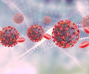 آنتی بادی ها می توانند سرطان را درمان کنند - جزئیات