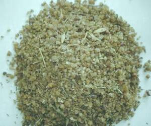 "فواید ترنجبین برای پوست و مو: کشف خواص درمانی و دارویی این گیاه"