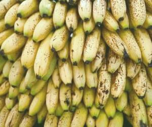 موز سبز یا موز رسیده؟ کدام یک برای سلامتی بهتر است؟