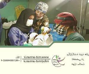 راهنمای جامع کاشت مو: نکات و تکنیک‌ها