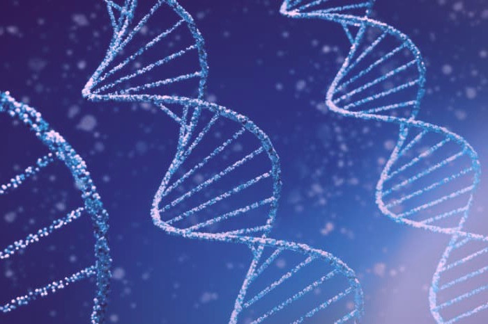 درمان هموفیلی با استفاده از ژن درمانی: همه جزئیات مورد نیاز