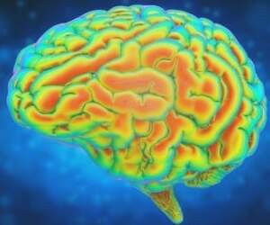 رژیم غذایی مناسب برای تقویت سلامت مغز