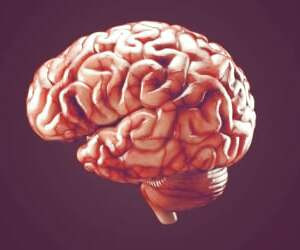 روش آلمانی برای باز کردن تمامی رگ‌های مسدود شده