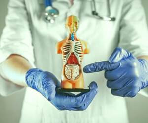 نشانه‌هایی که نشان می‌دهد سلامت دستگاه گوارش شما در خطر است