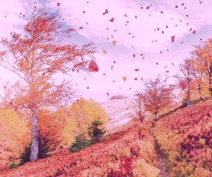 تأثیرات فصل پاییز بر روی سلامت بدن ما