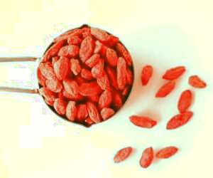 راهنمای کامل خشک کردن زرشک تازه و روش‌های نگهداری آن