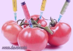 محصولات تراریخته و خطر ابتلا به سرطان