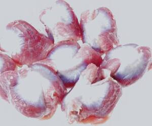 بررسی فواید سنگدان مرغ برای سلامتی