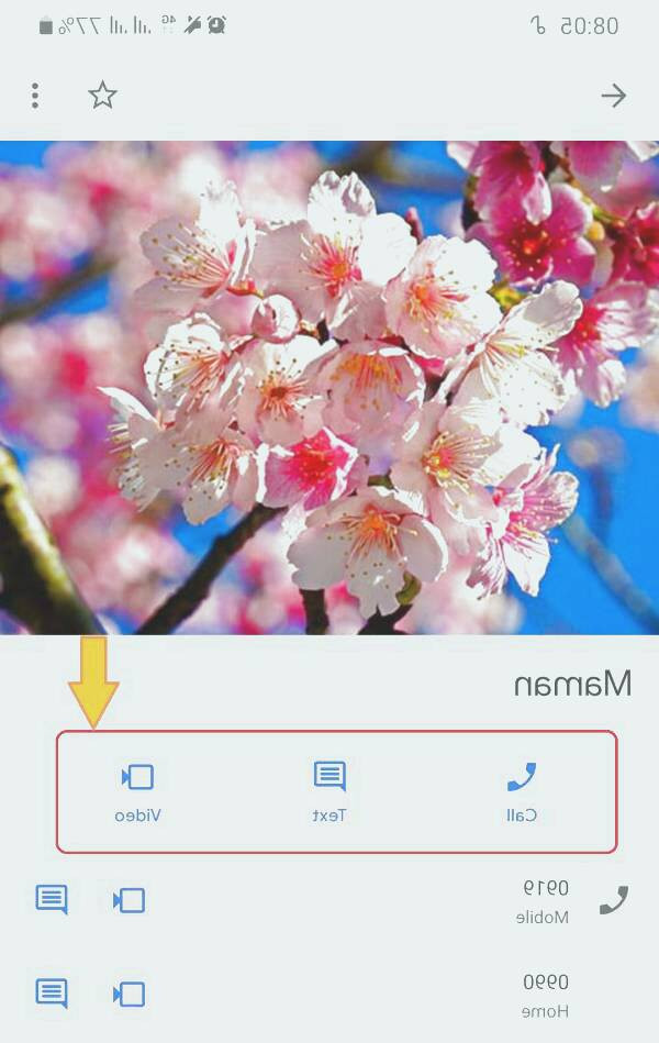 دفترچه تلفن