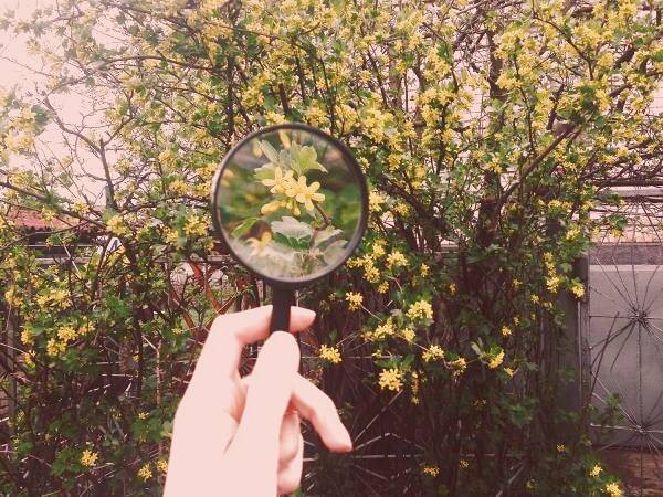 زوم در عکاسی