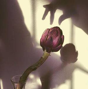 نور طبیعی در عکاسی