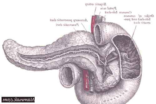 لوزالمعده مصنوعی