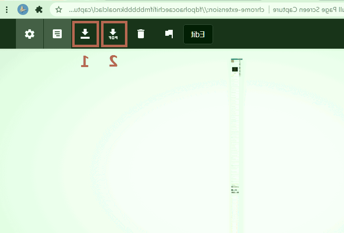 انتخاب نوع فایل دانلودی در Go Full Page دانلود فایل