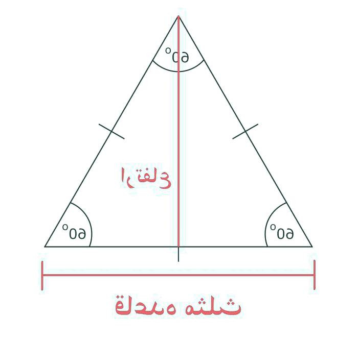 محیط و مساحت مثلث
