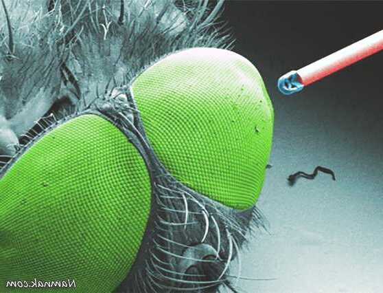 ساخت دوربین