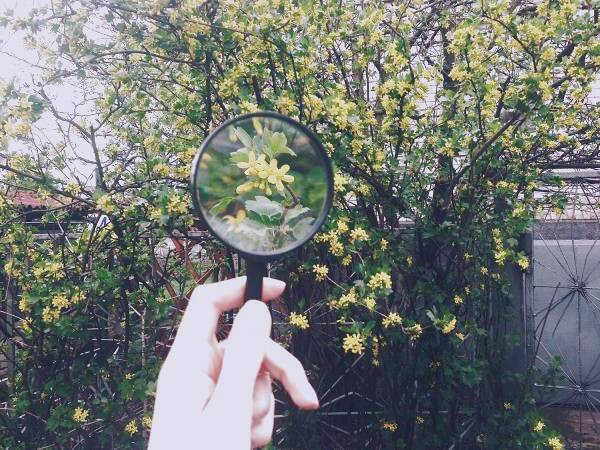 زوم در عکاسی