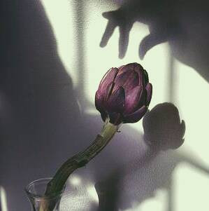 نور طبیعی در عکاسی