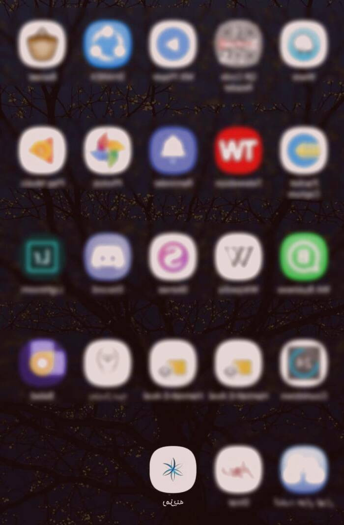 برنامه رمزینه