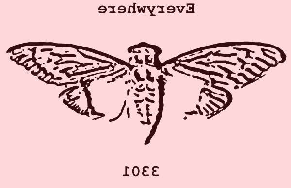 معمای اینترنتی