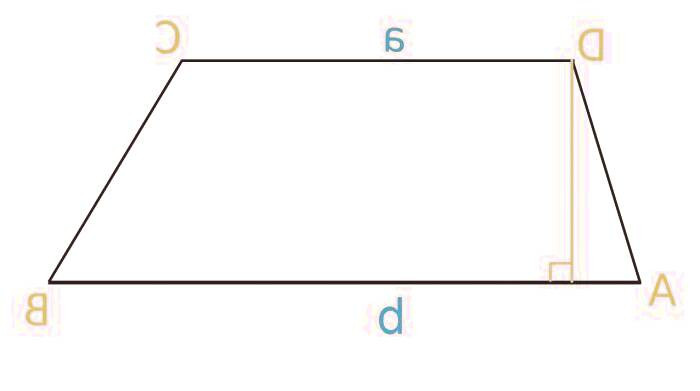 محیط و مساحت ذوزنقه