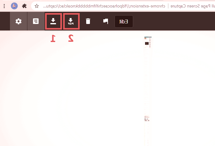 انتخاب نوع فایل دانلودی در Go Full Page دانلود فایل