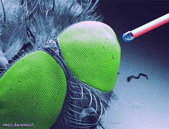 ساخت دوربین